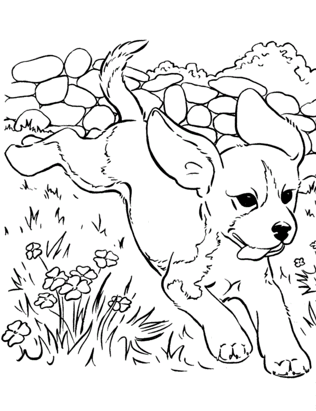 Happy Beagle Puppy Coloring Pages