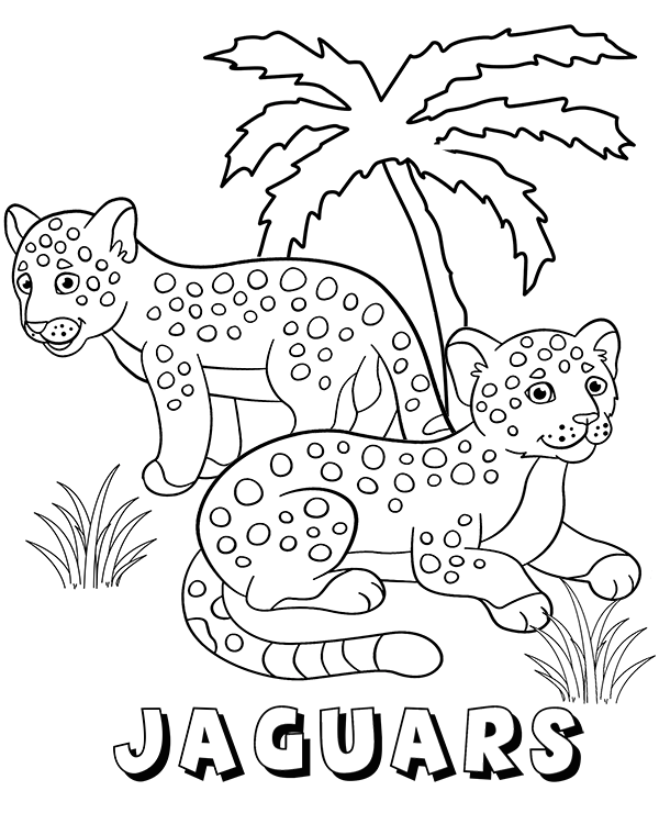 Baby Jaguar Coloring Pages Free