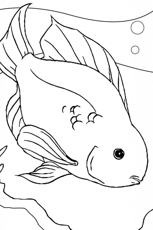 Betta Fish Coloring Pages - Best Coloring Pages For Kids