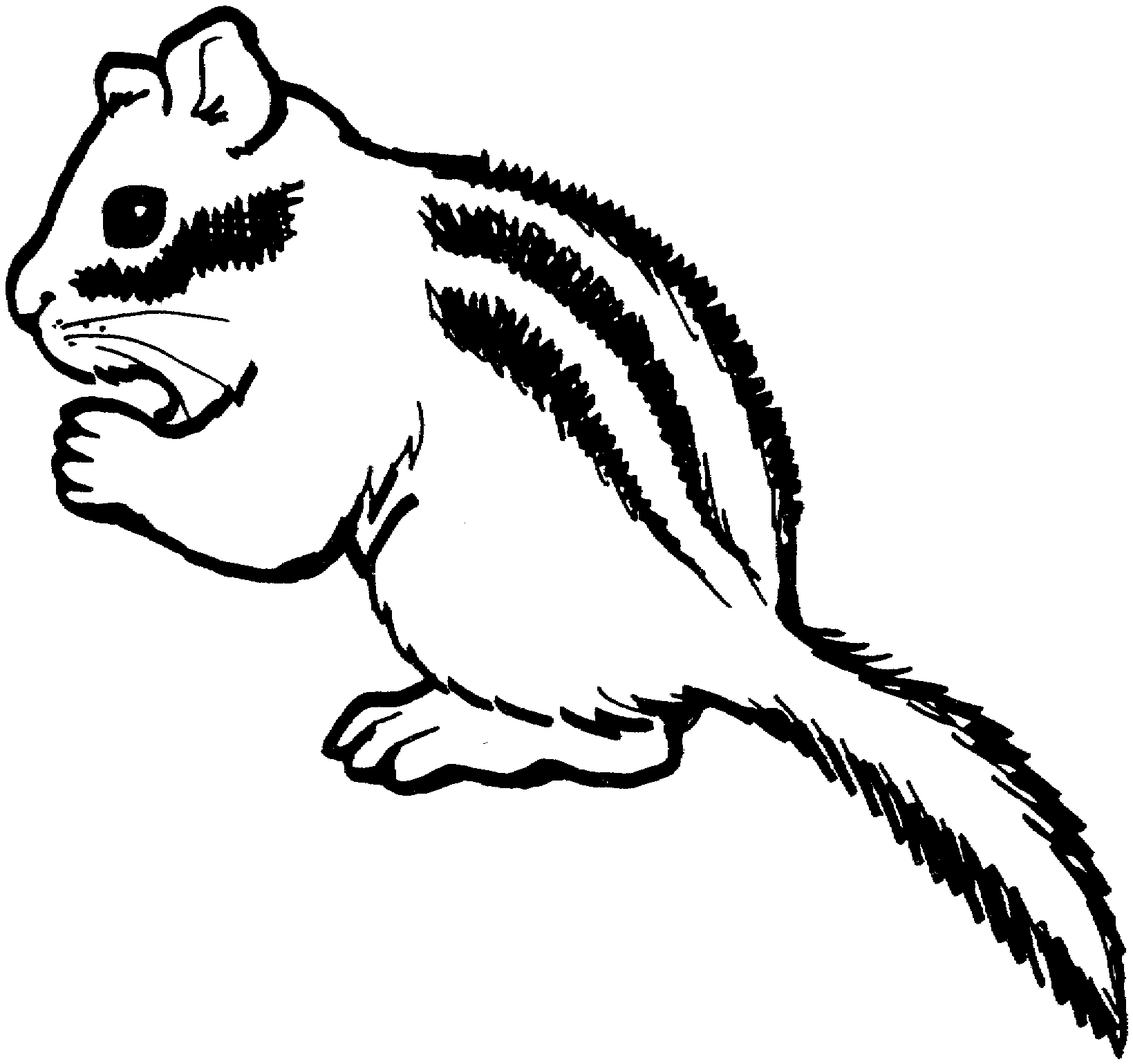 Chipmunk Coloring Pages
