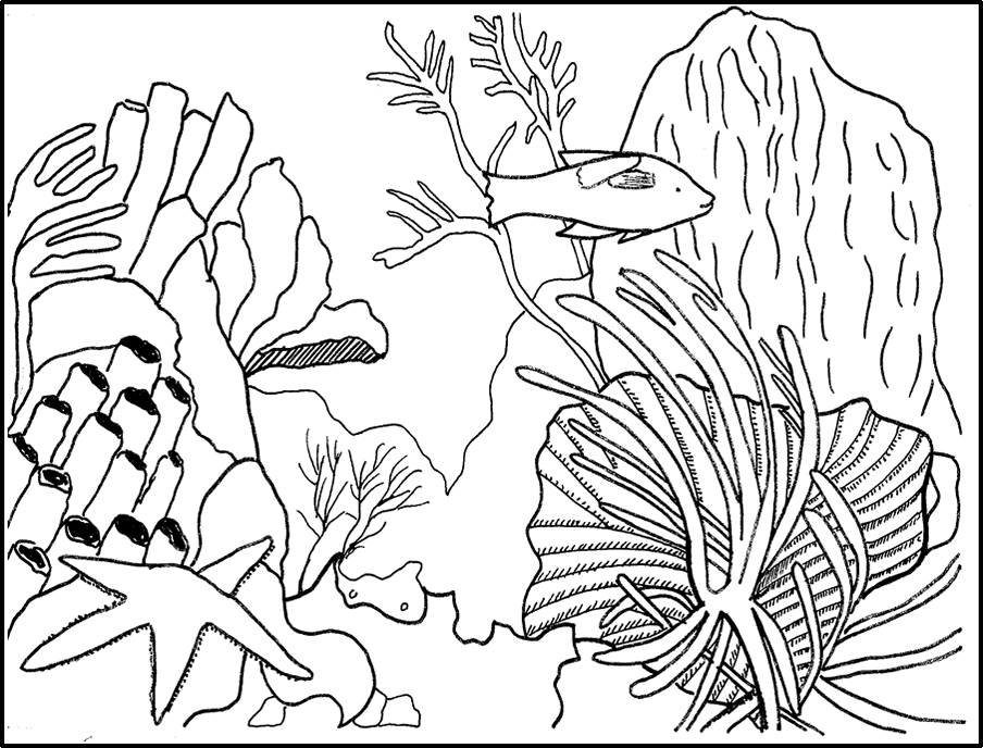 Coral Ocean Scene Coloring Pages