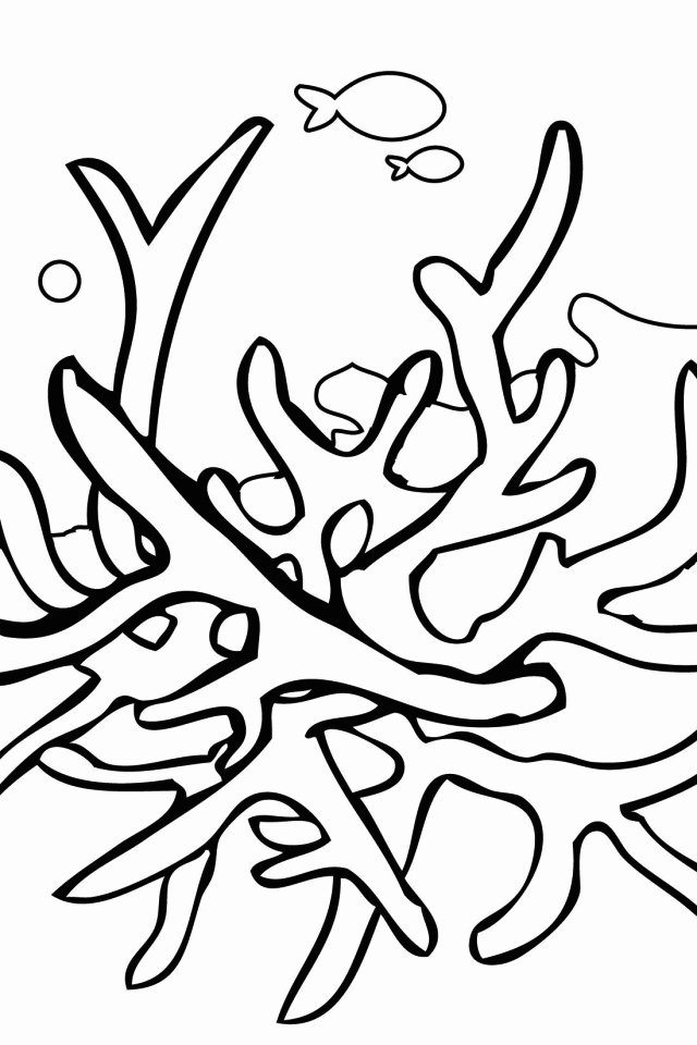 Coral Printable Coloring Pages