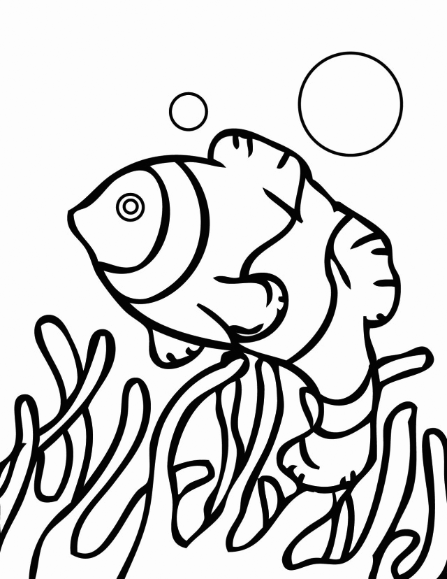 Coral And Fish Coloring Pages