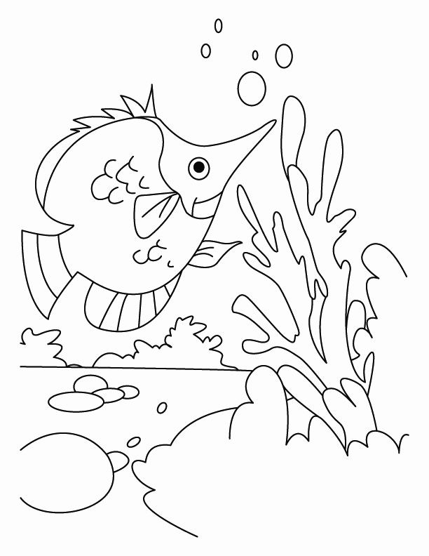 Fish And Coral Coloring Page