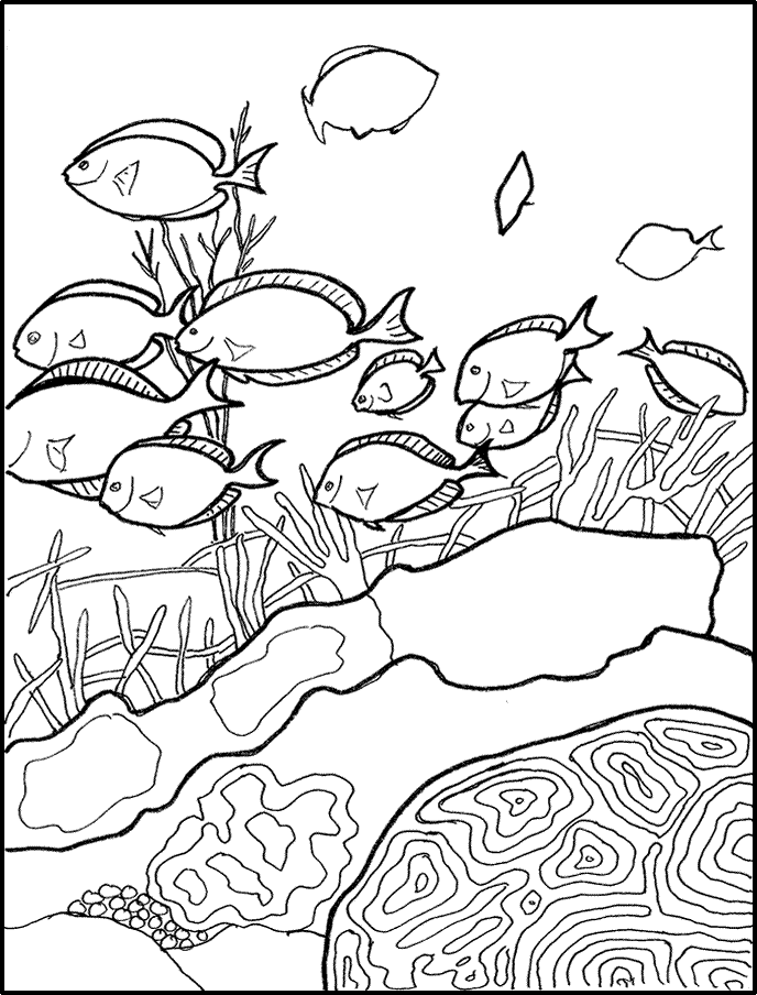 Fish And Coral Coloring Pages