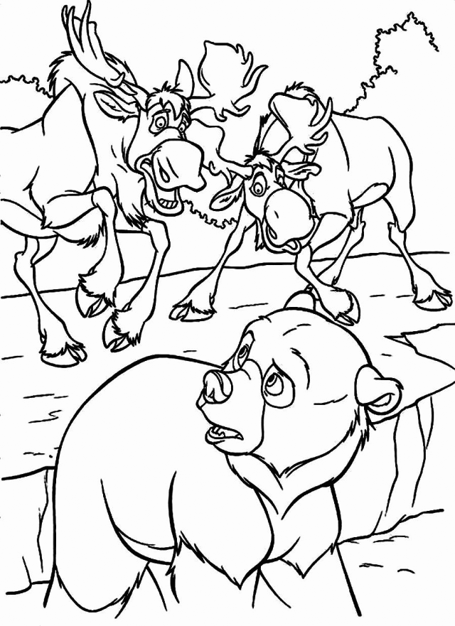 Moose And Brother Bear Coloring Pages