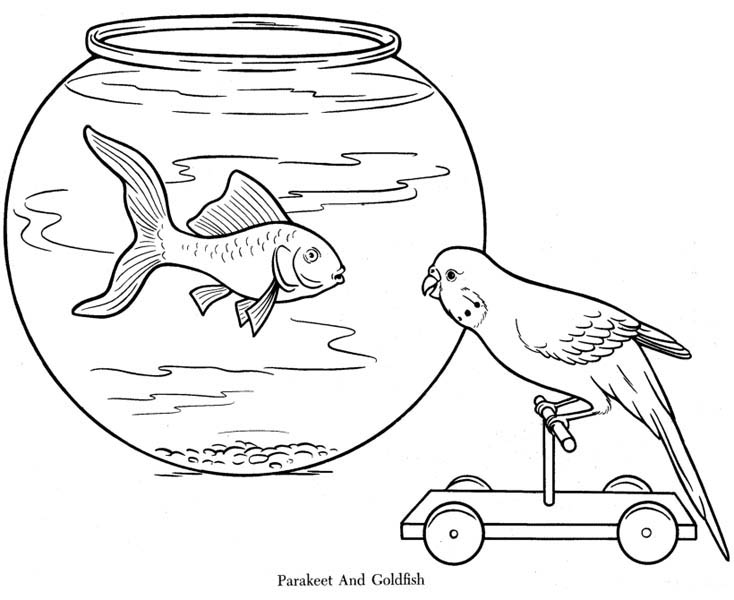 Parakeet And Goldfish Coloring Page