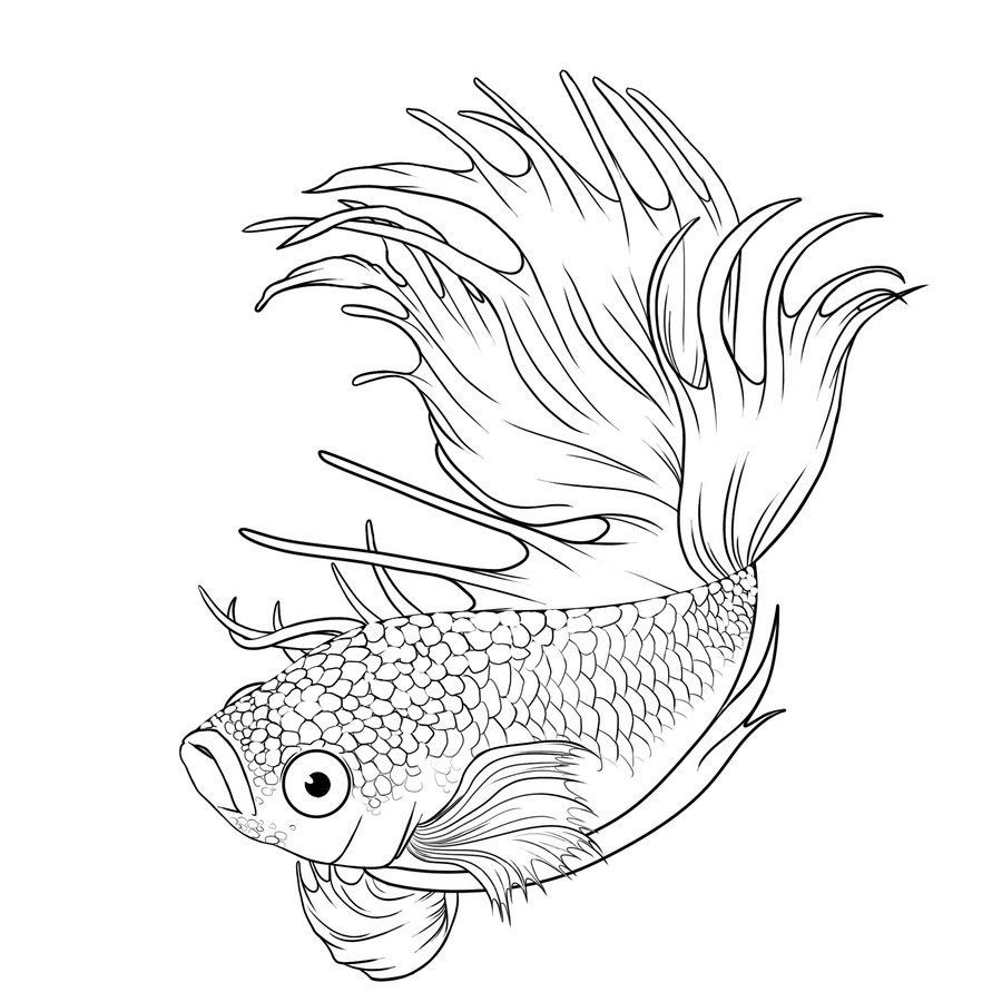 196 Simple Betta Fish Coloring Page with disney character