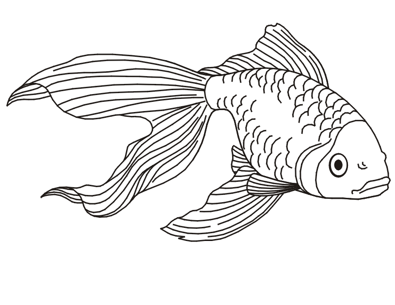 betta-fish-coloring-pages-best-coloring-pages-for-kids