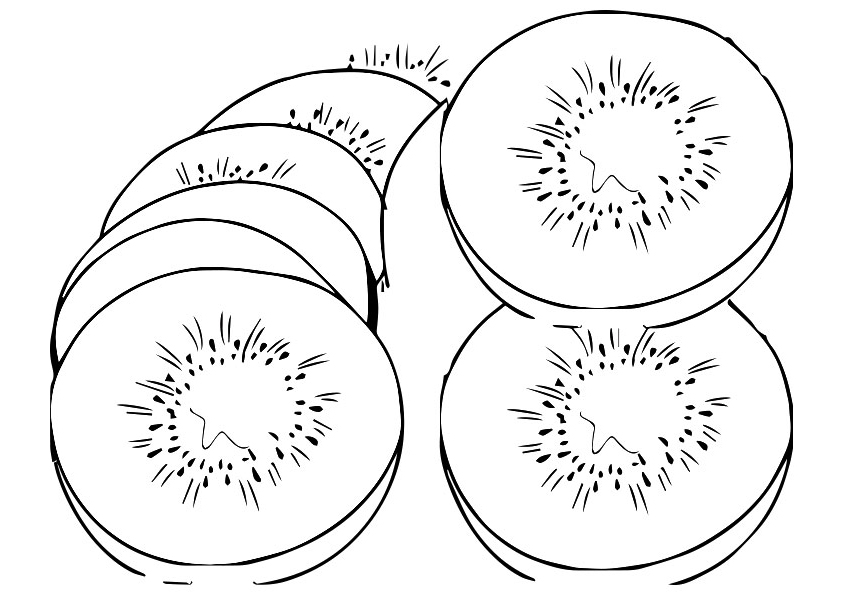 Kiwi Coloring Pages For Kids Coloring Pages