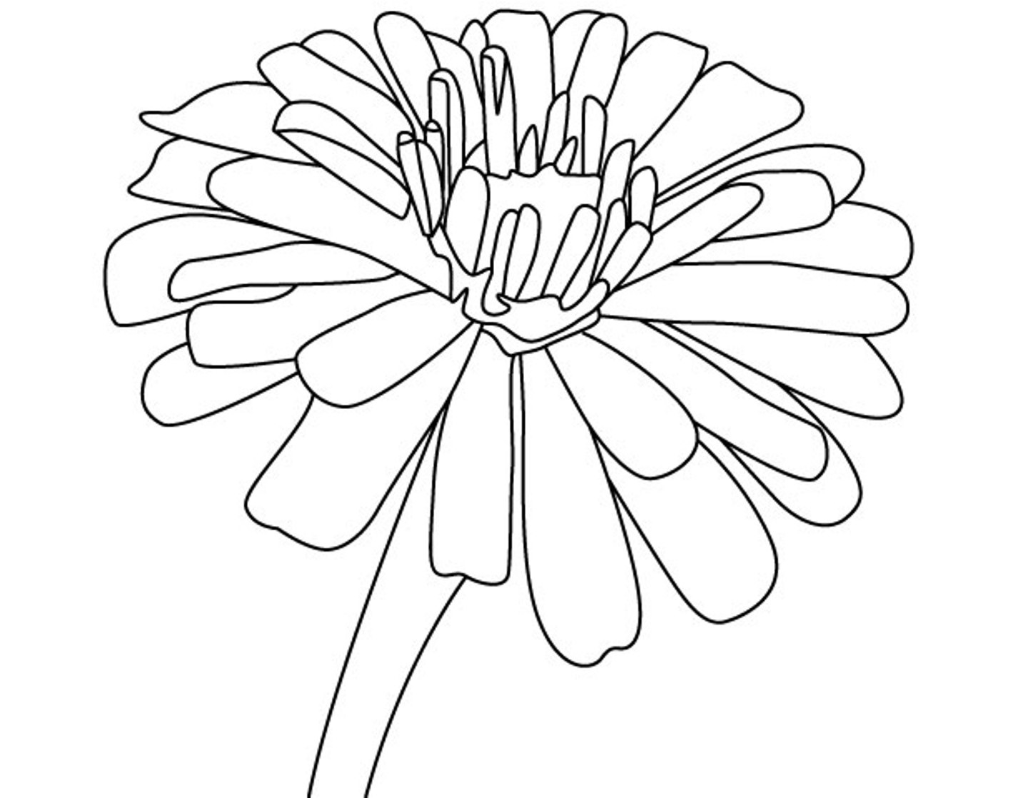 Easy Zinnia Coloring Pages
