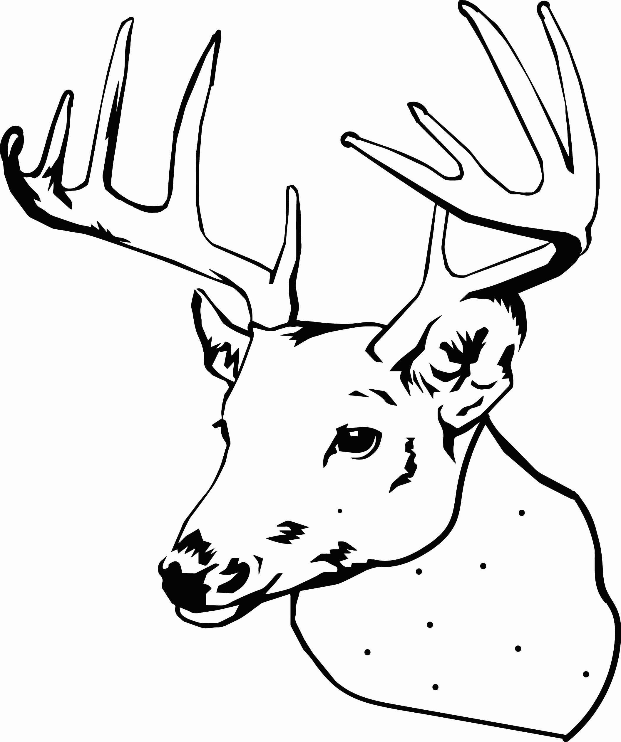 Elk Coloring Pages - Best Coloring Pages For Kids