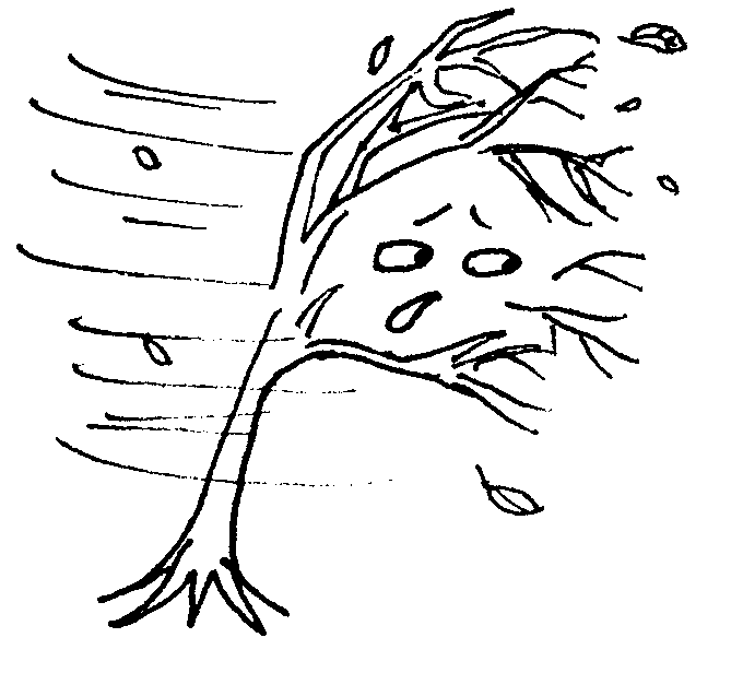 Hurricane Tree Coloring Page