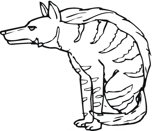 Hyena Coloring Pages