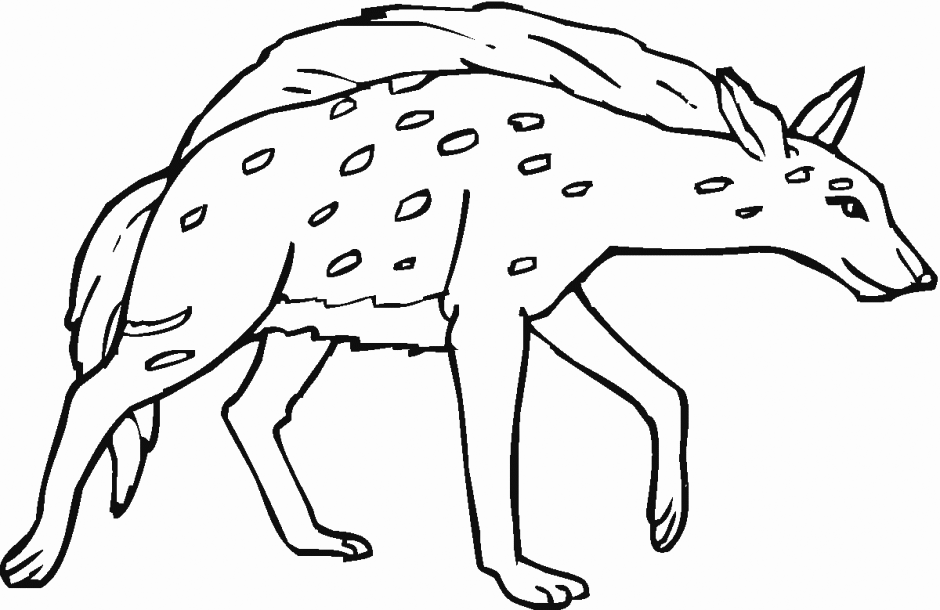 Printable Hyena Coloring Pages