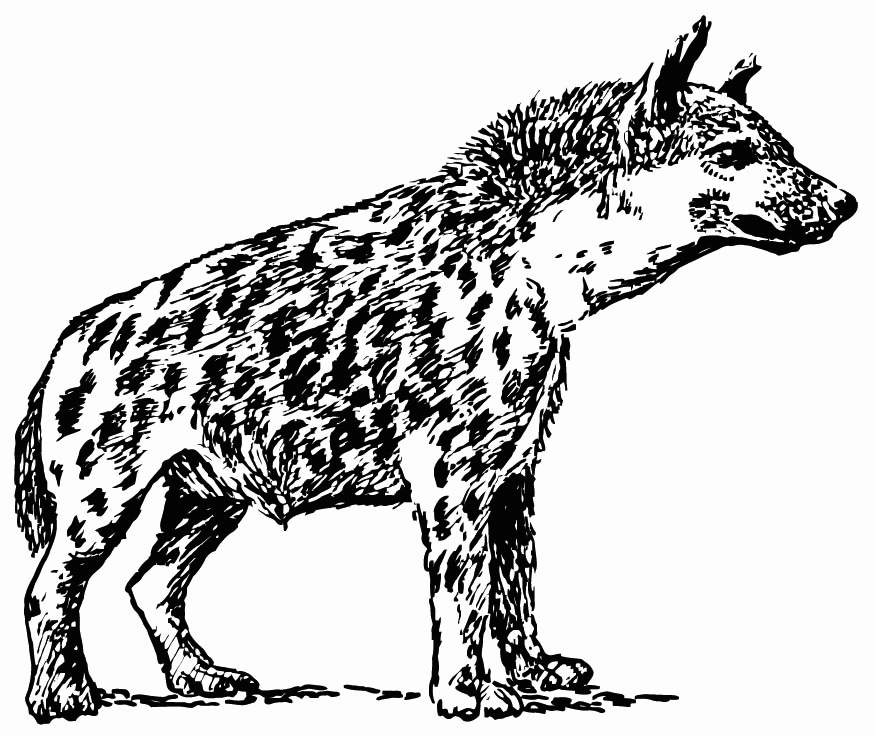 Realistic Hyena Coloring Pages