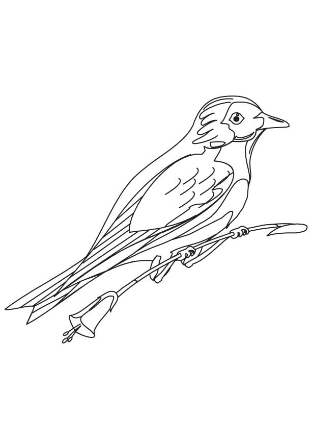 Bluebird Coloring Pages - Best Coloring Pages For Kids