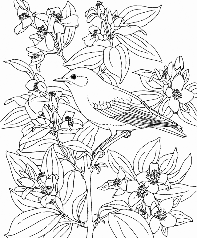 Bluebird In The Flowers Coloring Pages