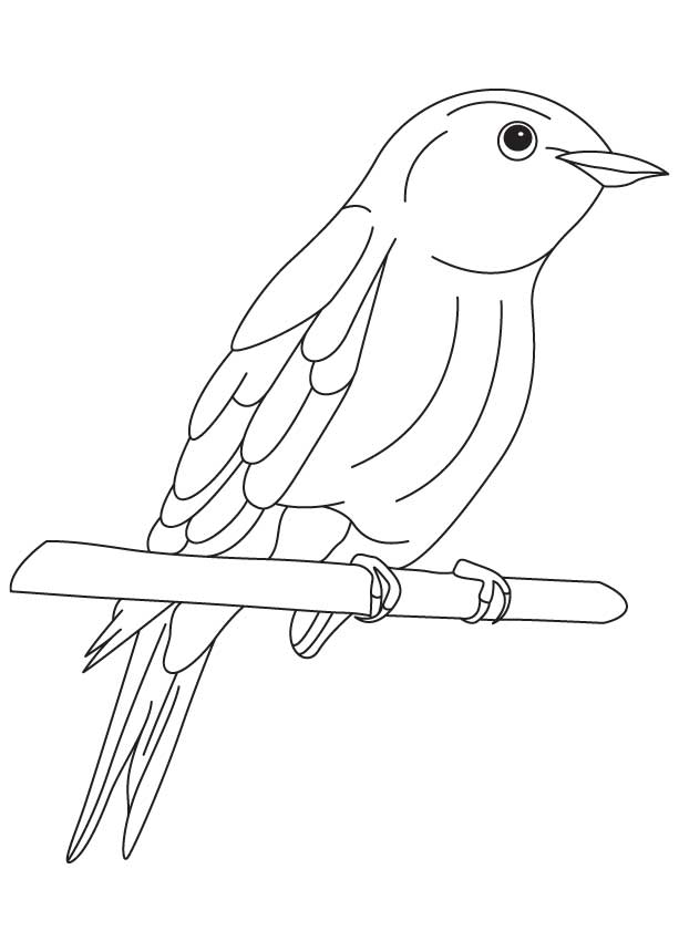 Bluebird Coloring Pages - Best Coloring Pages For Kids