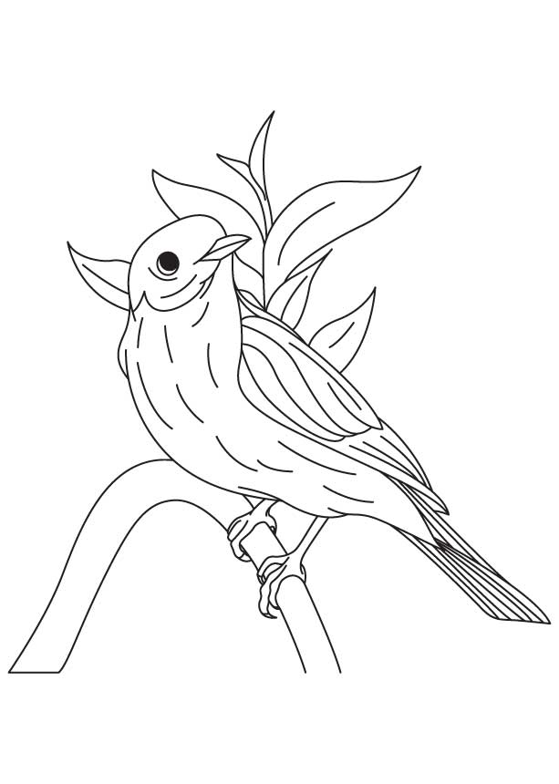 Bluebird Coloring Pages - Best Coloring Pages For Kids