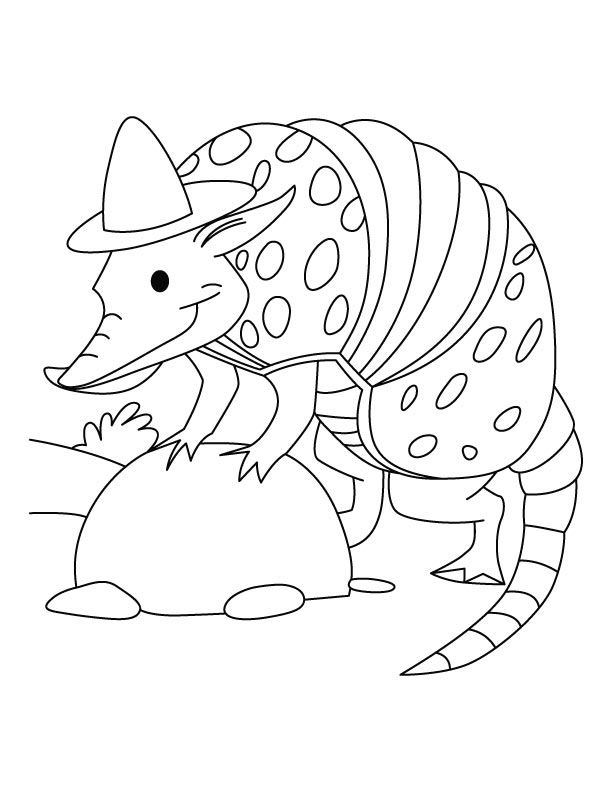 Armadillo In Hat Coloring Page