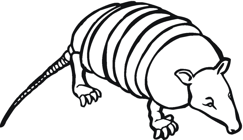 Cute Armadillo Coloring Pages