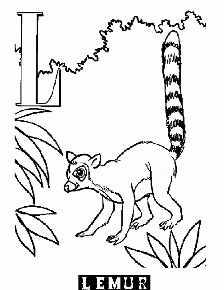 Lemur Coloring Page