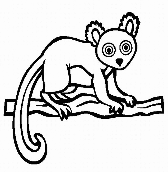 Lemur On Branch Coloring Pages