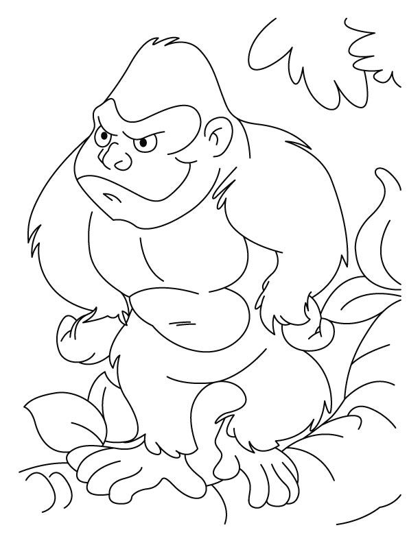 Ape In A Tree Coloring Page