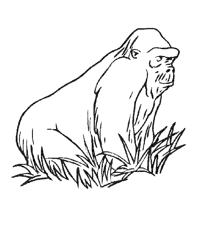 Big Ape In The Grass Coloring Page