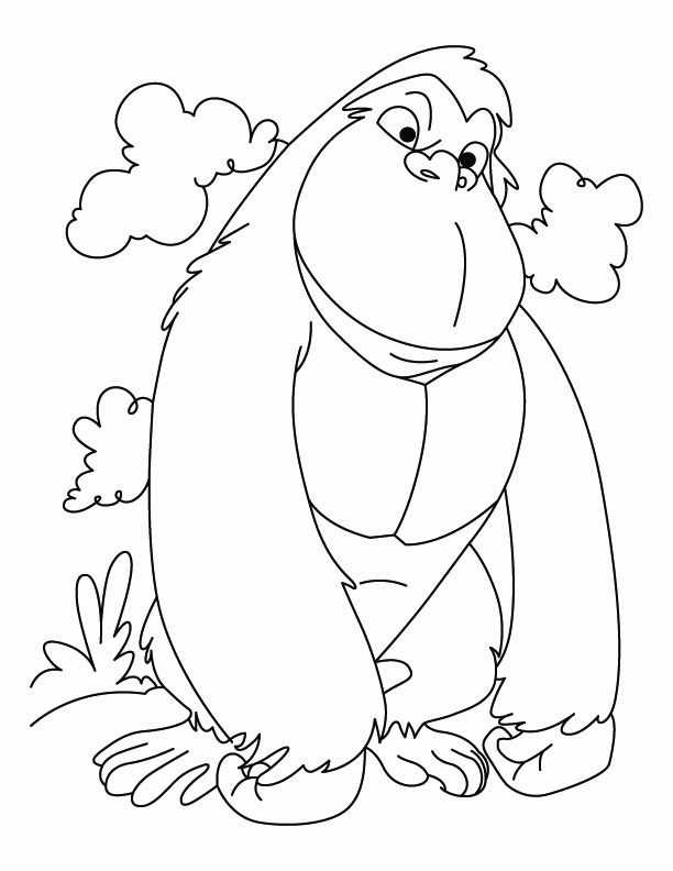 Cute Ape Coloring Page