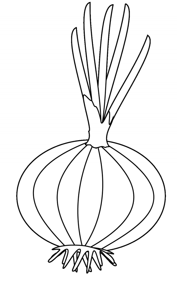 Easy Onion Coloring Page