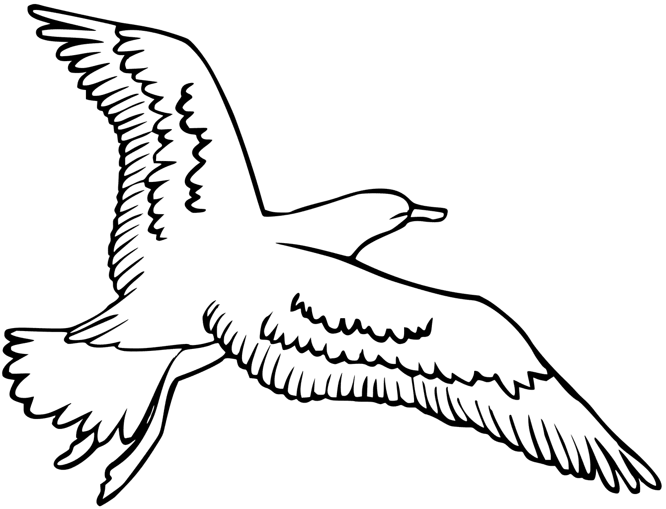 Flying Seagull Coloring Pages