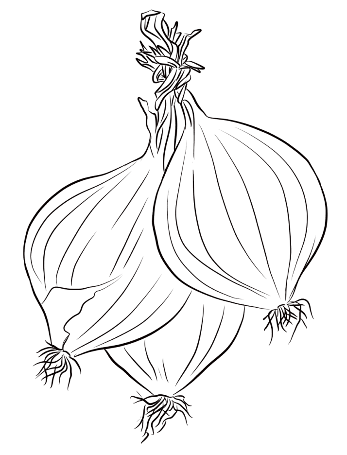 Onion Seiten 2023 Onion Seiten 2023