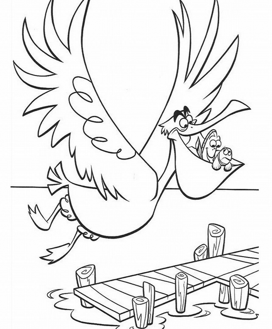 Pelican Coloring Pages - Best Coloring Pages For Kids