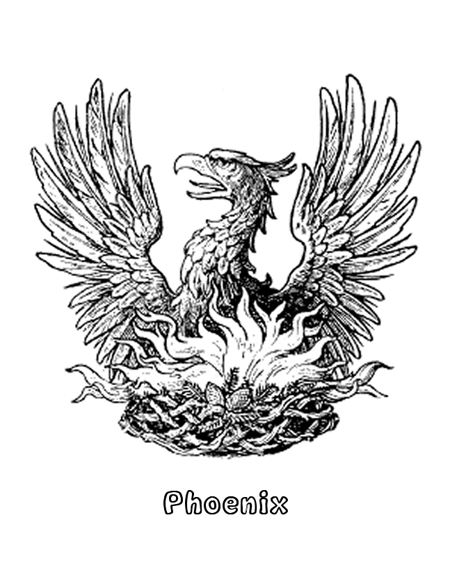 Phoenix Drawing Coloring Pages