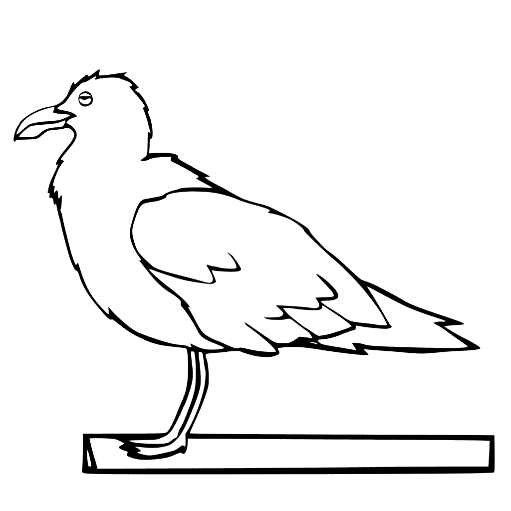 Seagull Coloring Page