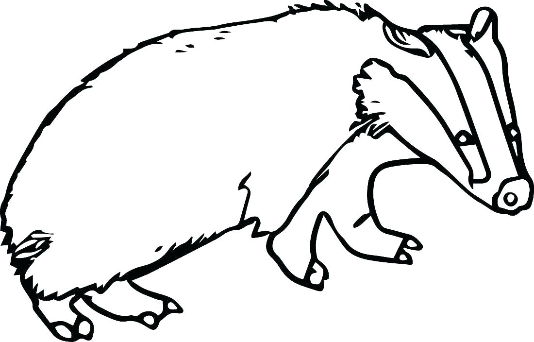 Badger Coloring Pages