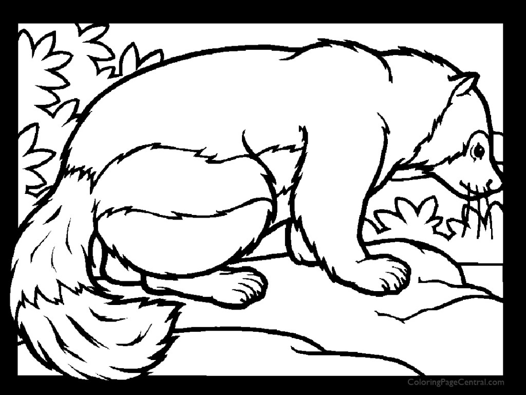 Badger Scene Coloring Pages