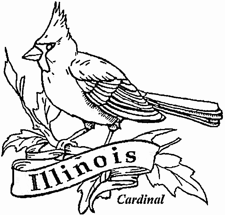 Cardinal Illinois Bird Coloring Pages