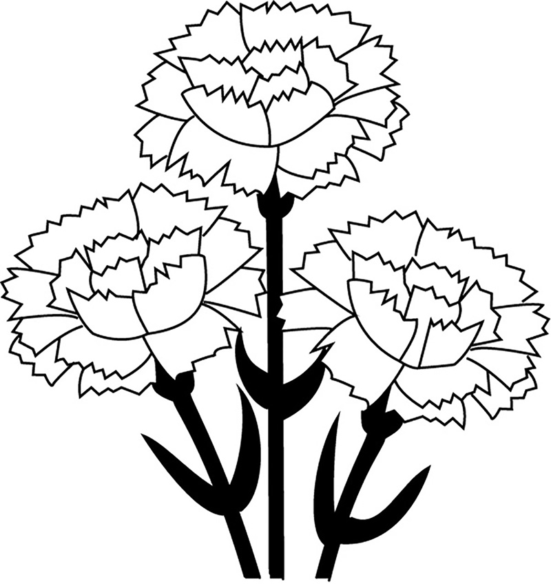 Carnation Coloring Pages - Best Coloring Pages For Kids