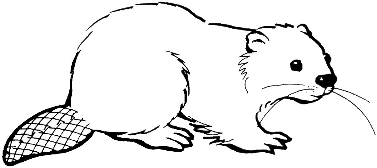 Cute Beaver Coloring Pages
