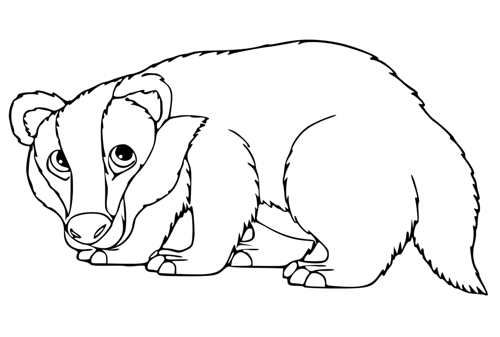 Cute Cartoon Badger Coloring Pages