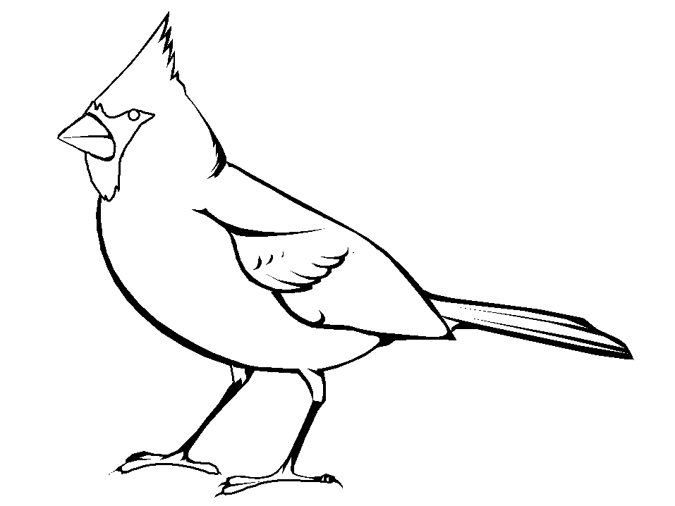 Easy Cardinal Coloring Pages
