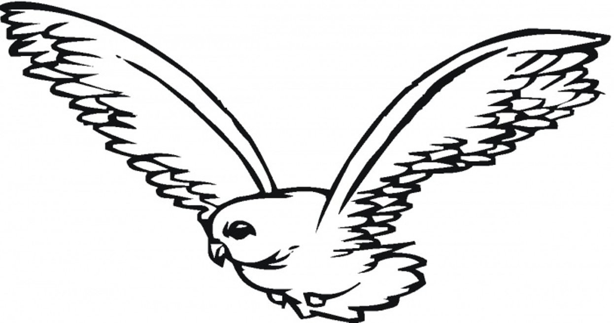 Falcon Flying Coloring Page