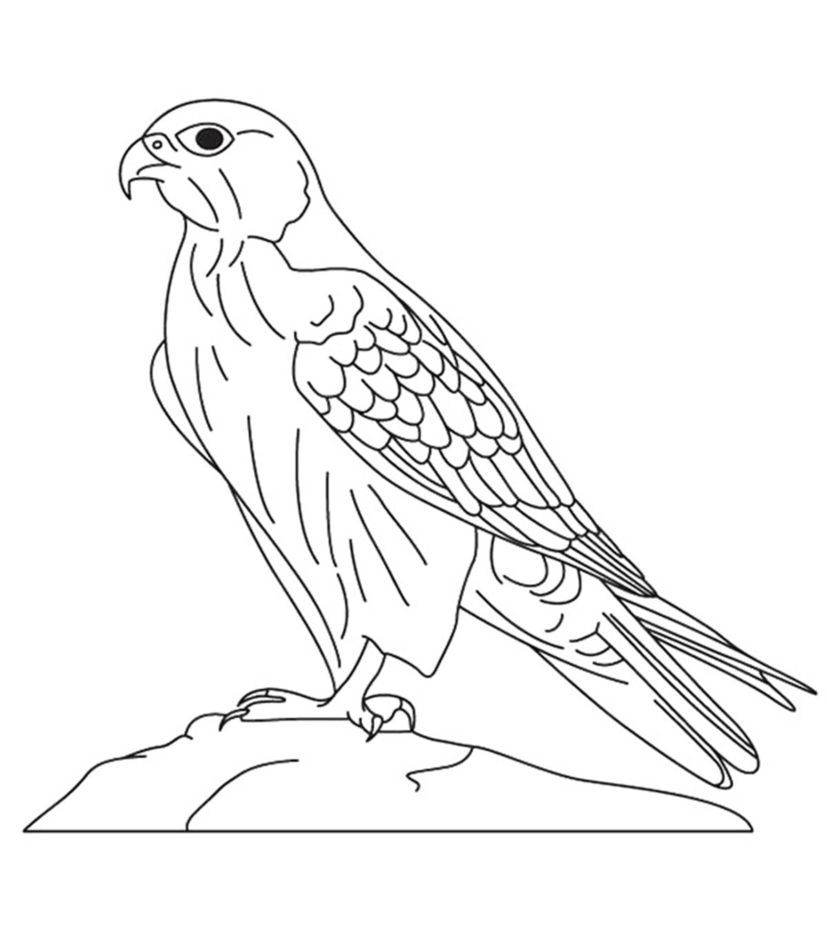 Falcon Coloring Pages