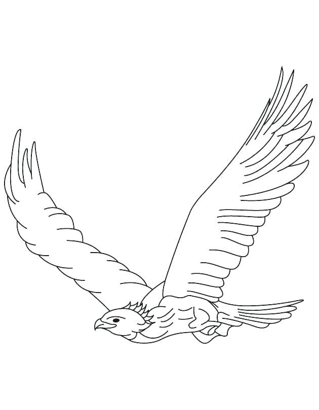Flying Falcon Coloring Page
