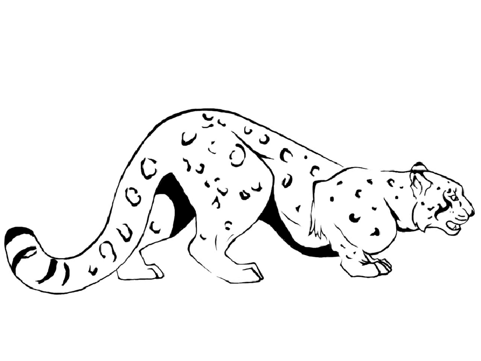 Hunting Leopard Coloring Pages