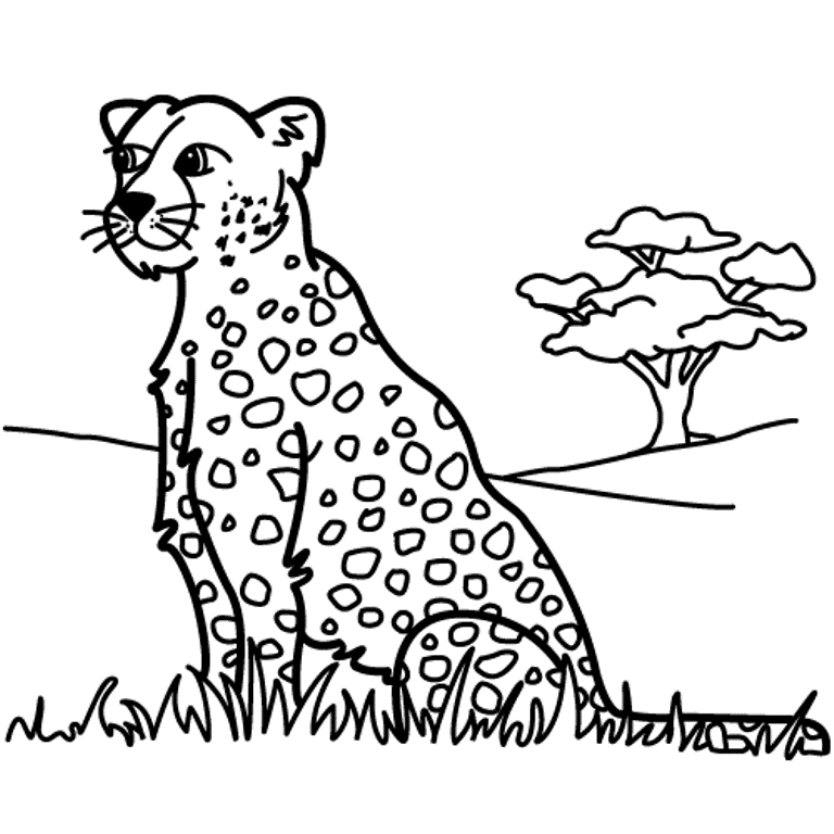 Leopard In The Grass Coloring Pages