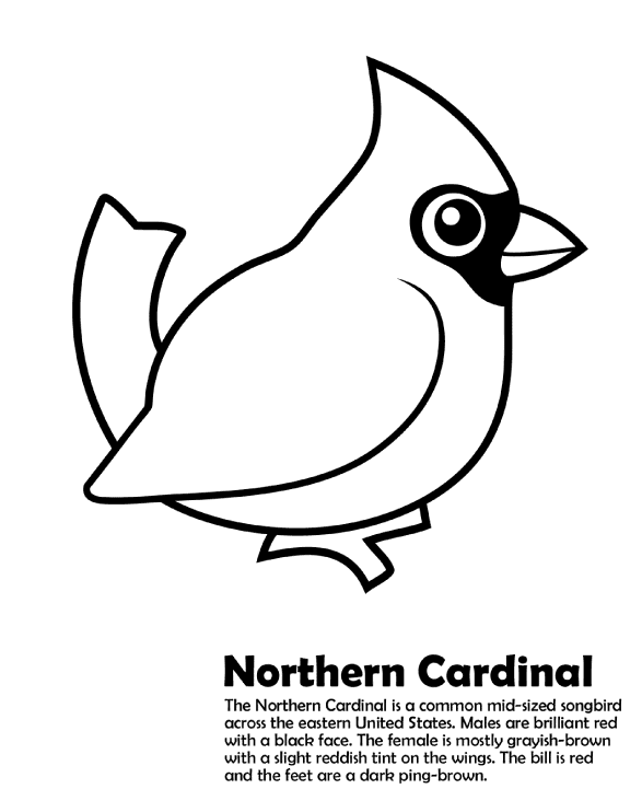 Northern Cardinal Coloring Sheet